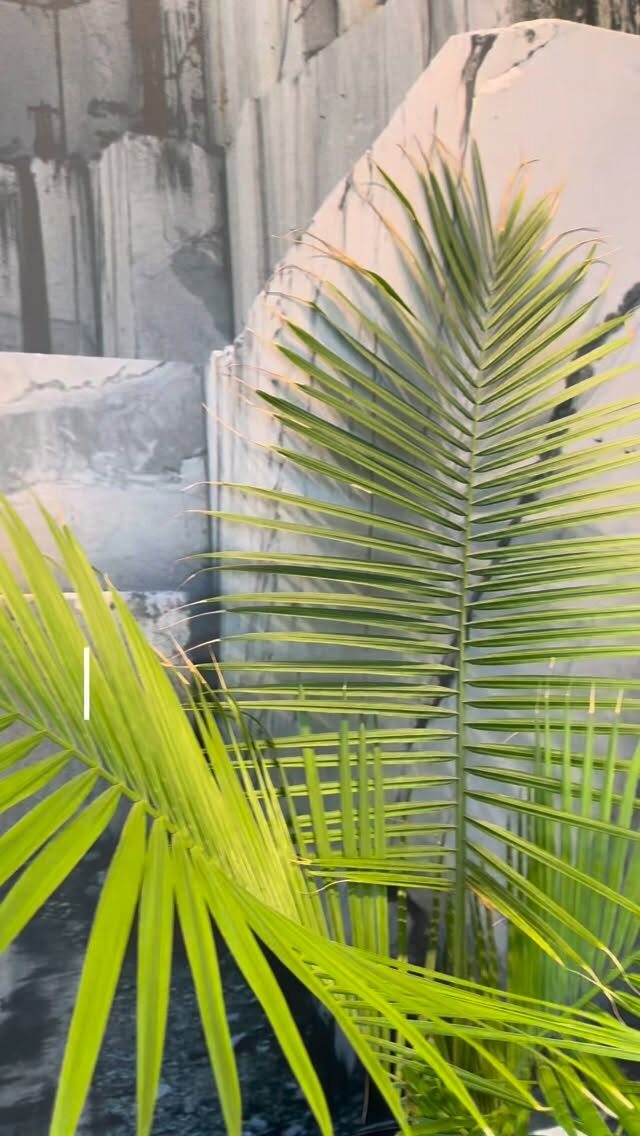 Instagram post from sjddesign_build. This post is in position 3.